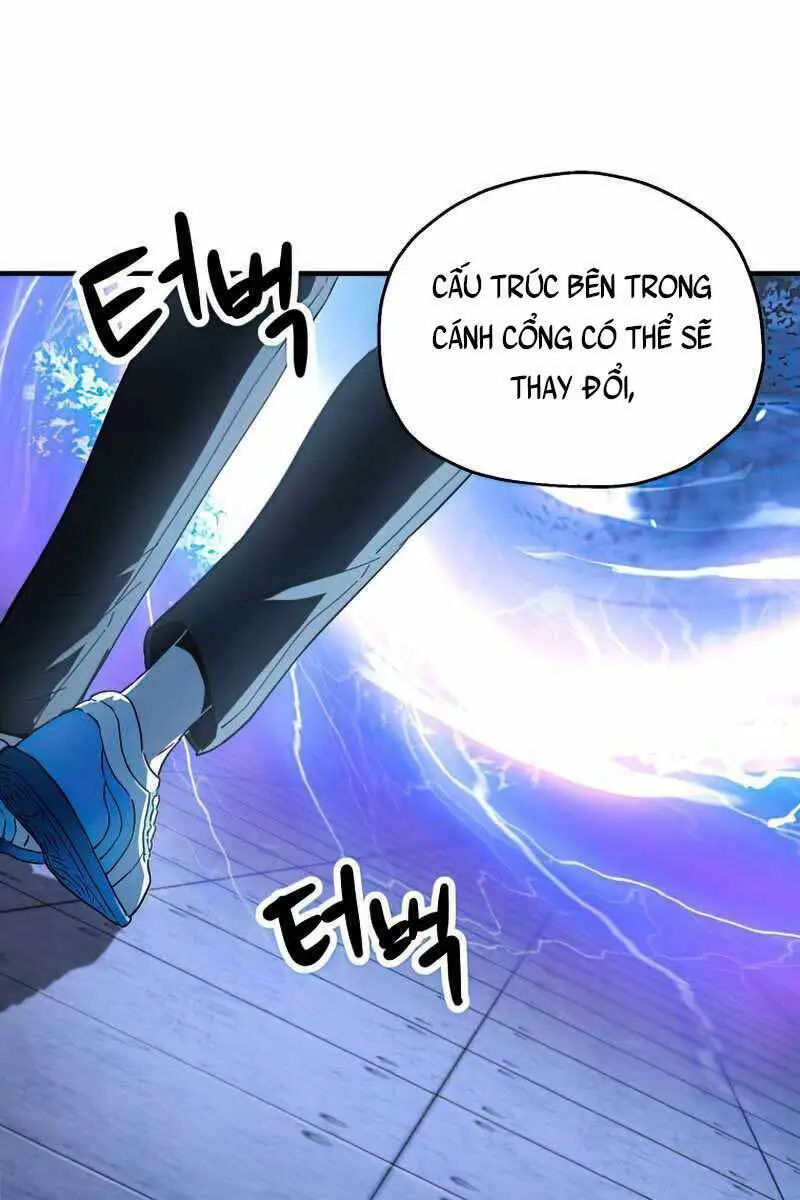 Chapter 81