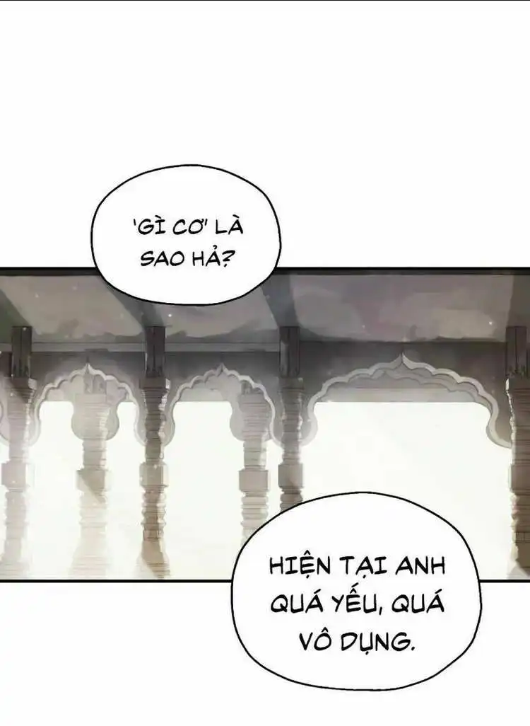 Chapter 19