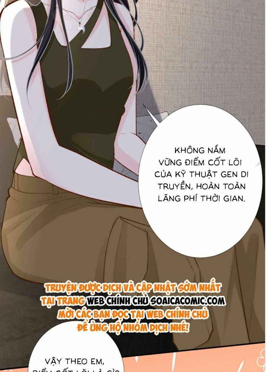 Chapter 193