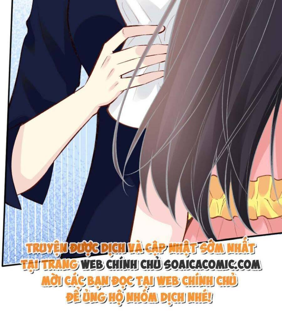 Chapter 164