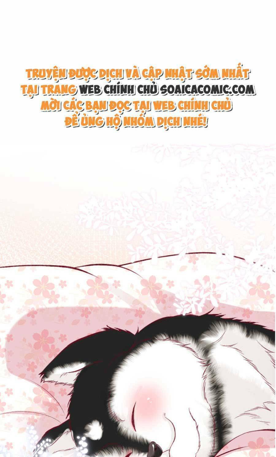 Chapter 156