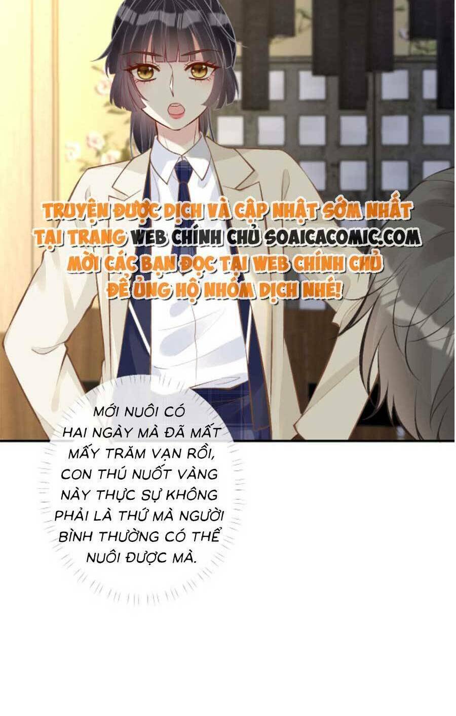 Chapter 156