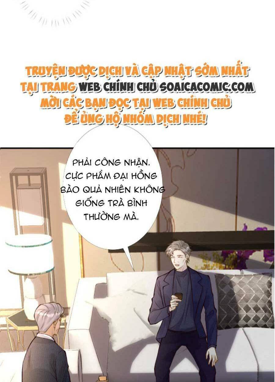 Chapter 96