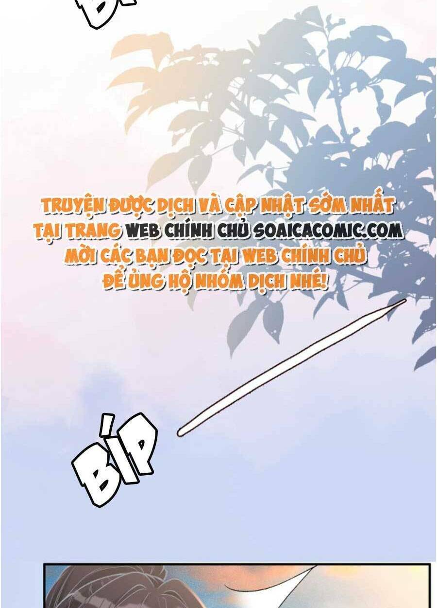 Chapter 96