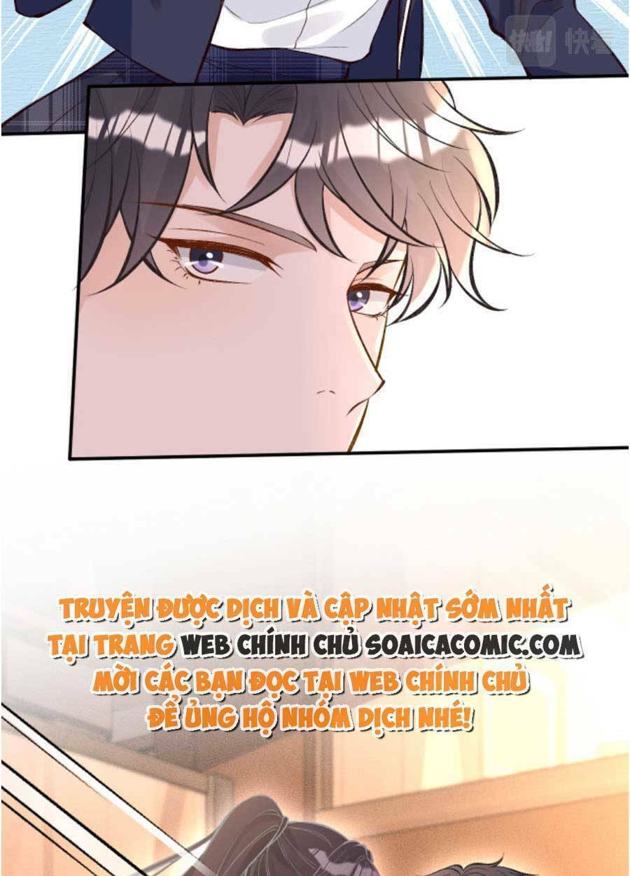 Chapter 95