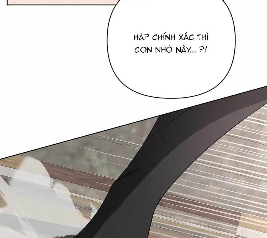 Chapter 21