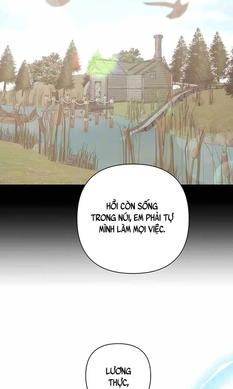 Chapter 19
