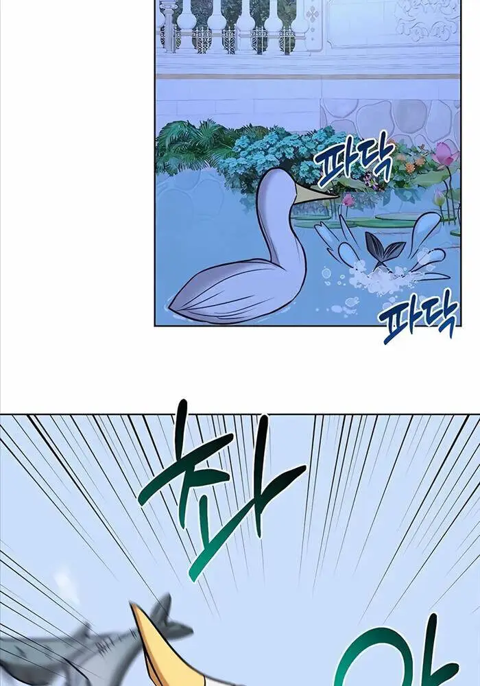 Chapter 18