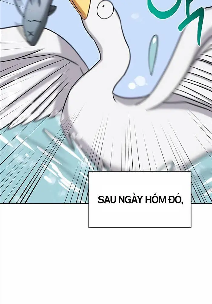 Chapter 18