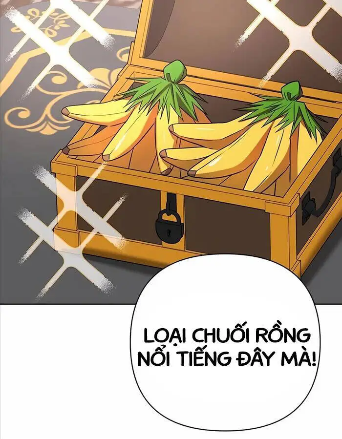 Chapter 17