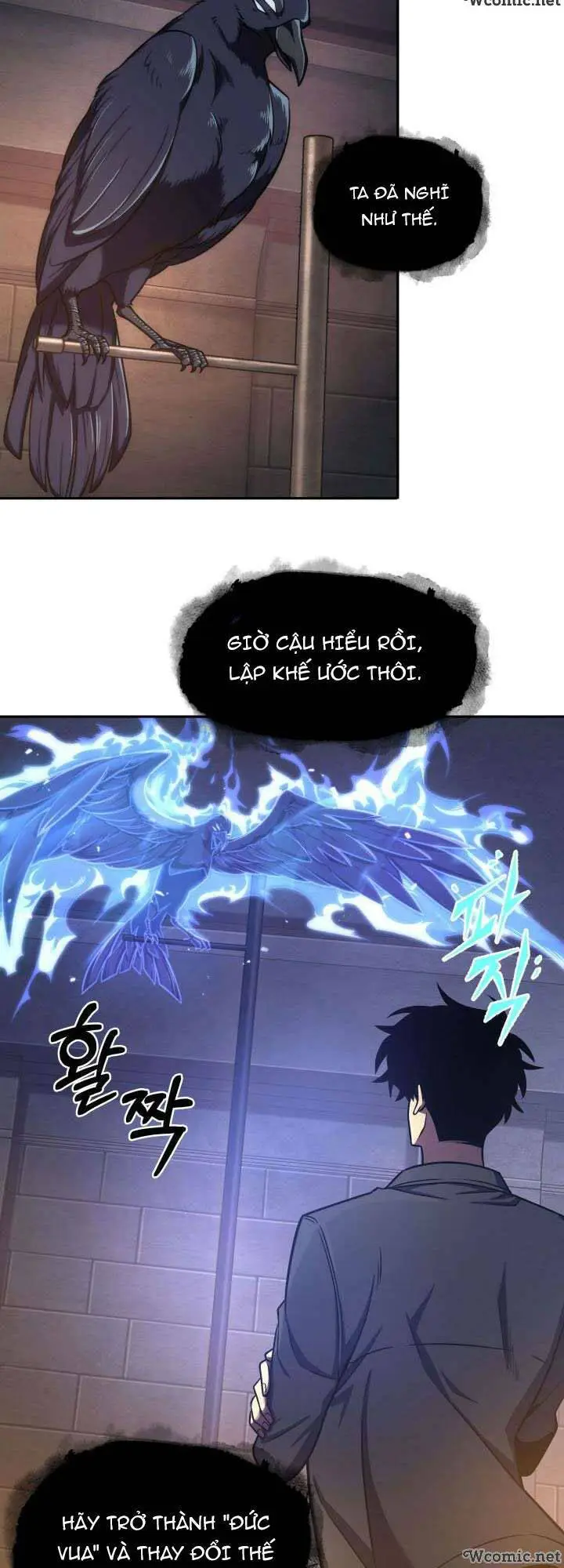 Chapter 229