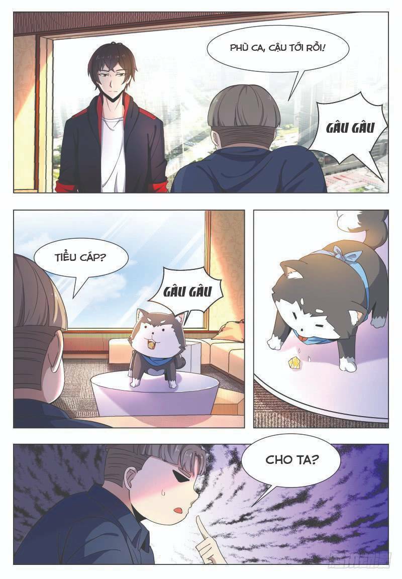 Chapter 47