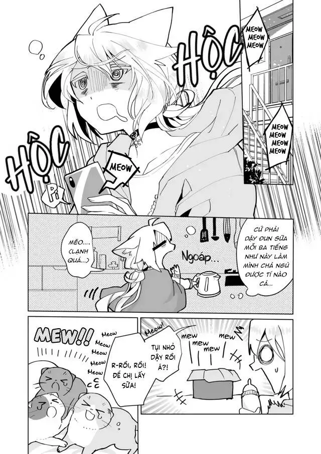 Chapter 72