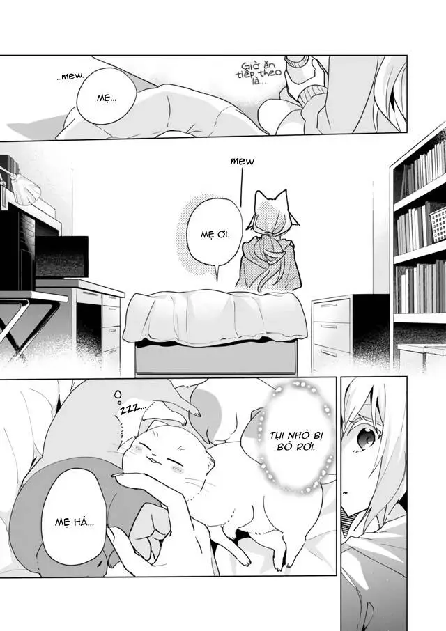 Chapter 72