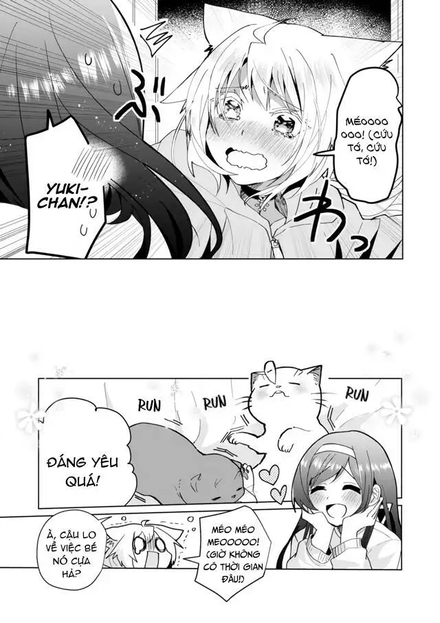 Chapter 72