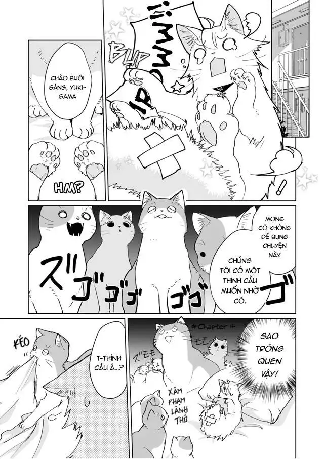 Chapter 71