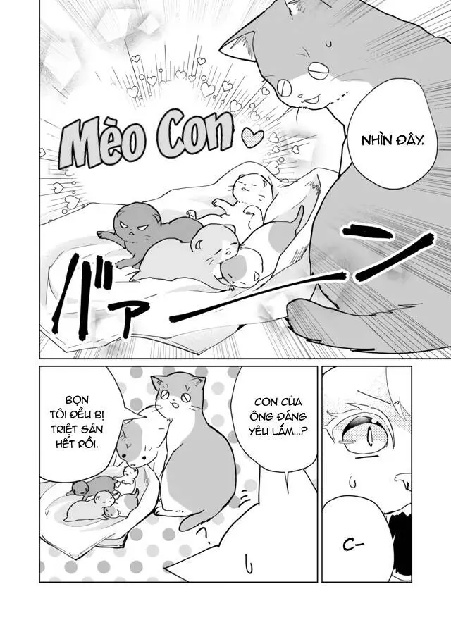 Chapter 71
