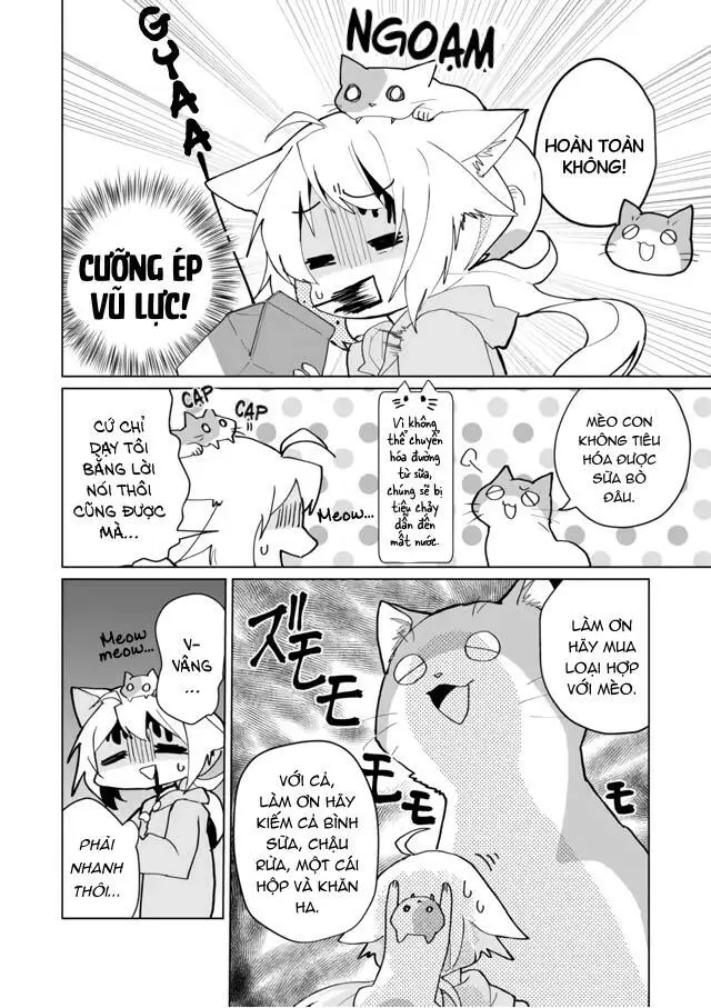 Chapter 71