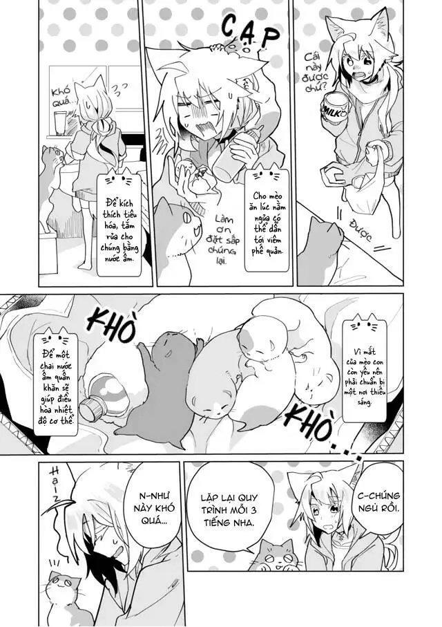 Chapter 71