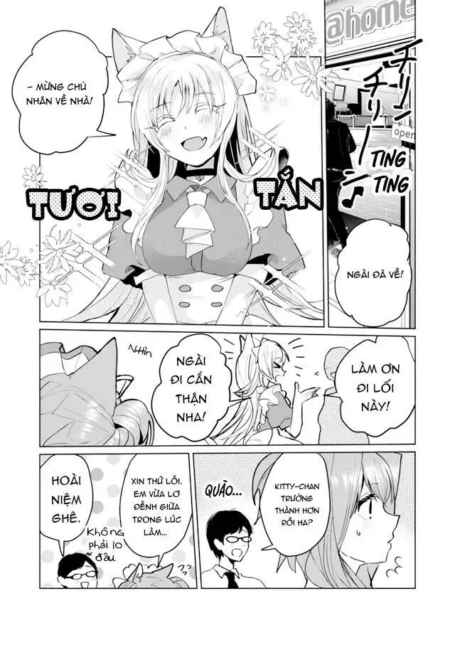 Chapter 64