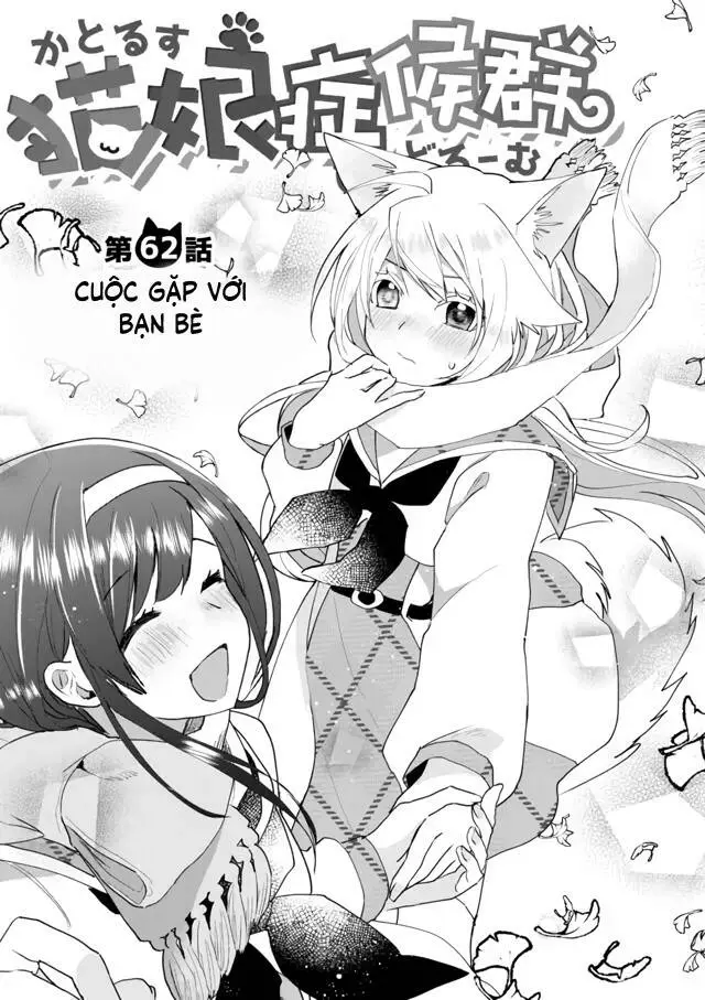 Chapter 62