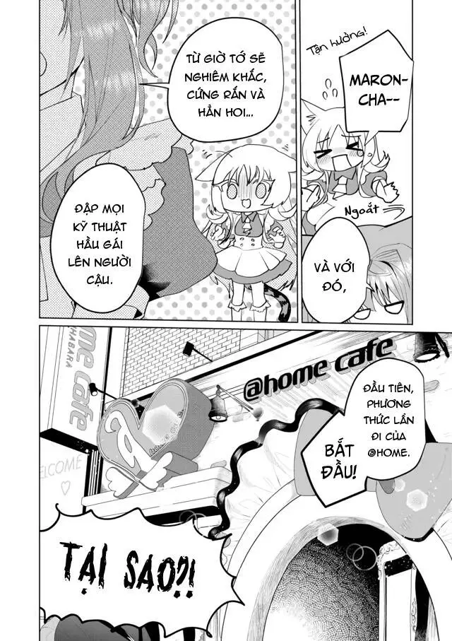 Chapter 60