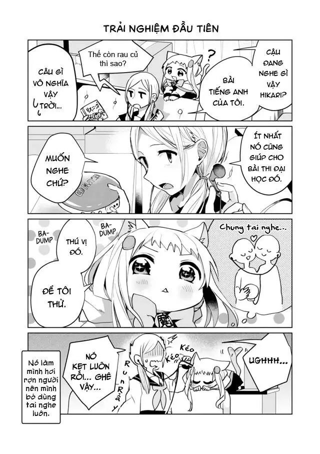 Chapter 58.5