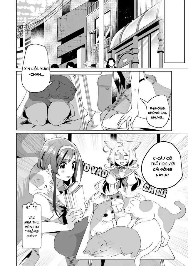 Chapter 56