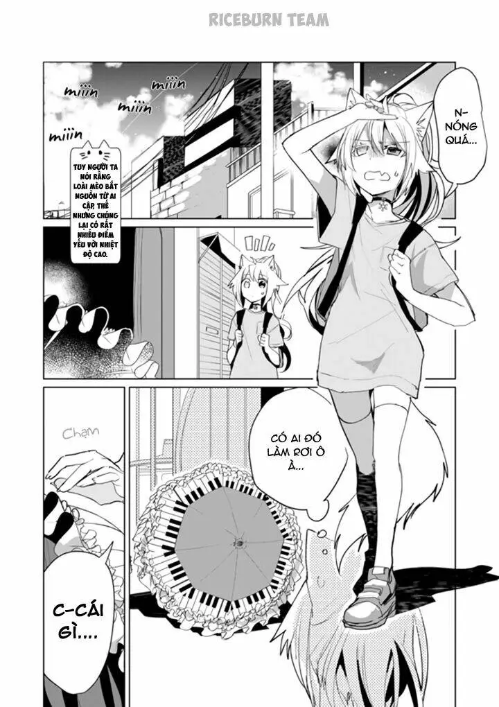 Chapter 44