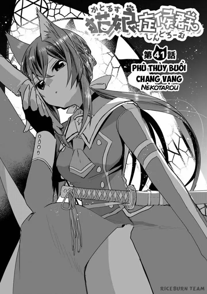 Chapter 41