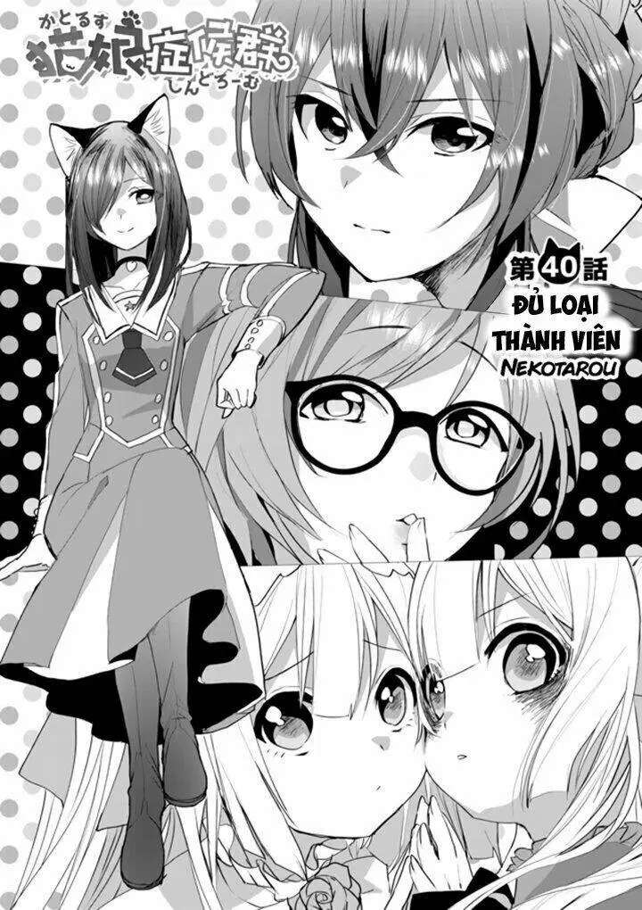 Chapter 40