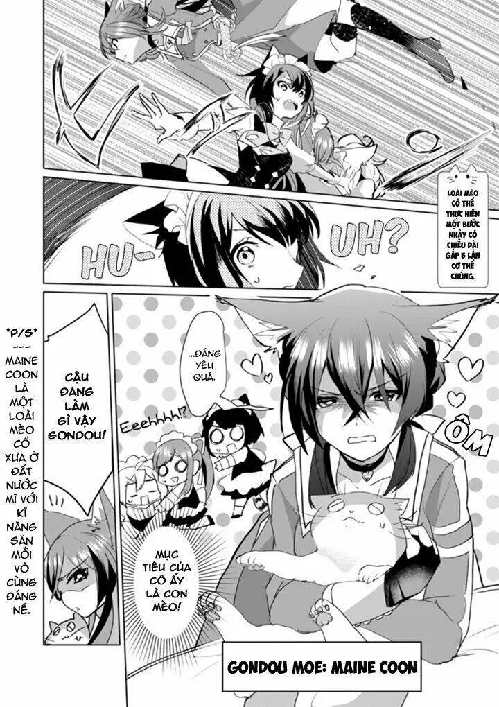 Chapter 40