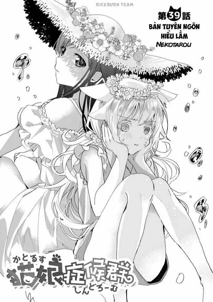 Chapter 39