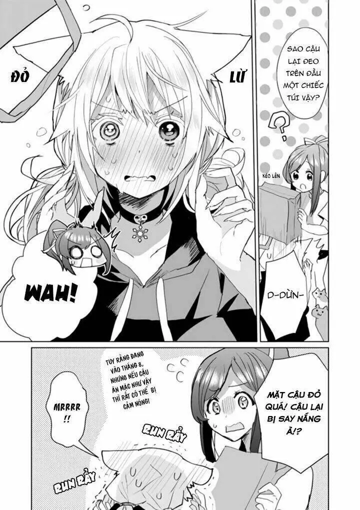 Chapter 39