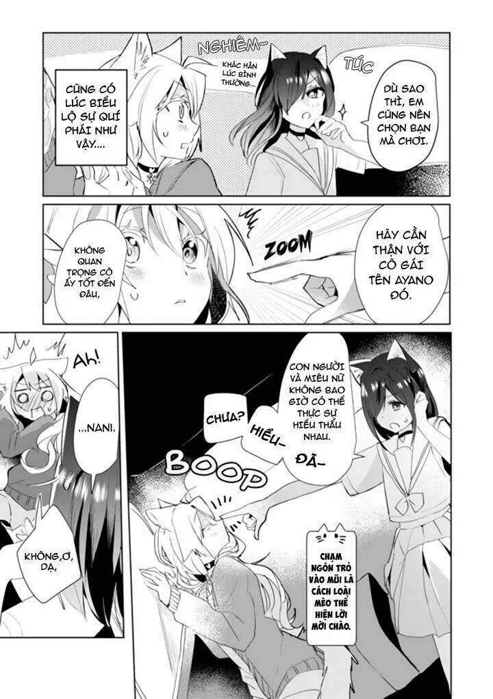 Chapter 37