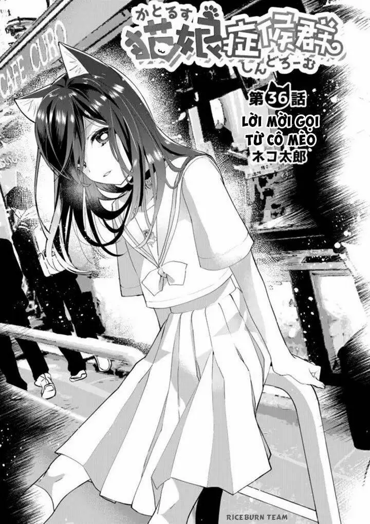 Chapter 36