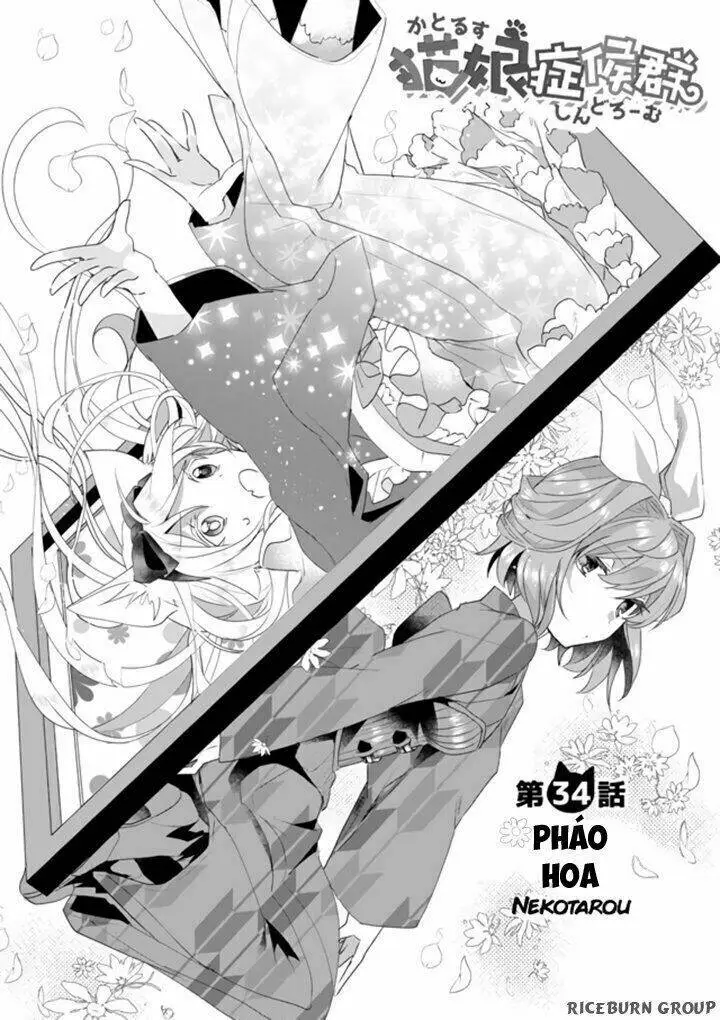 Chapter 34