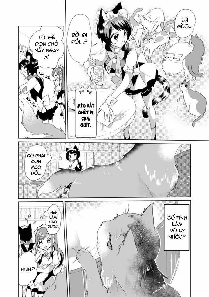 Chapter 33