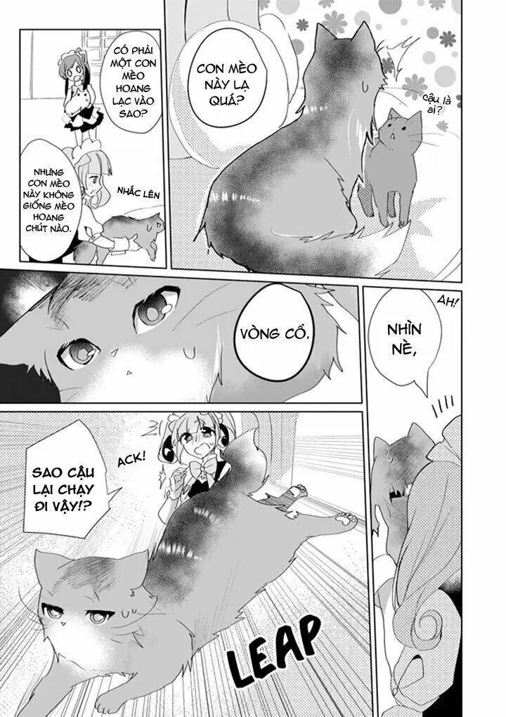 Chapter 33
