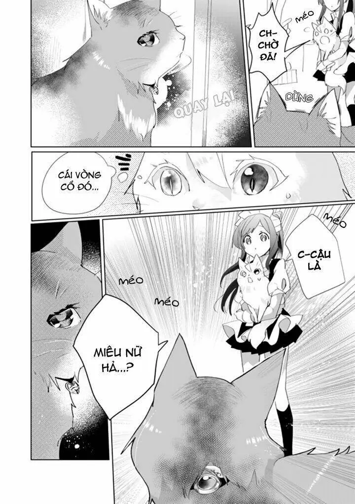 Chapter 33