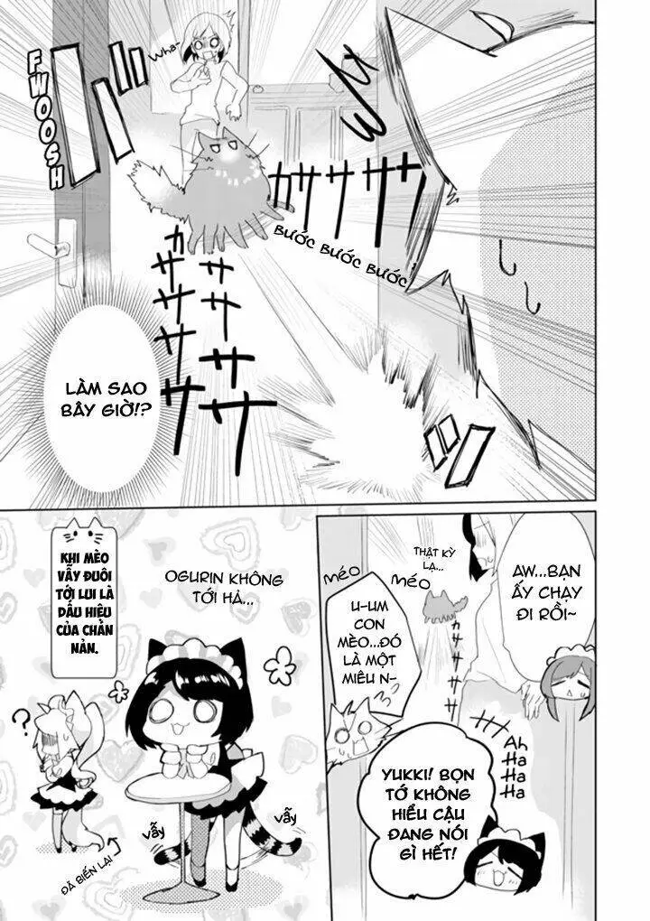 Chapter 33