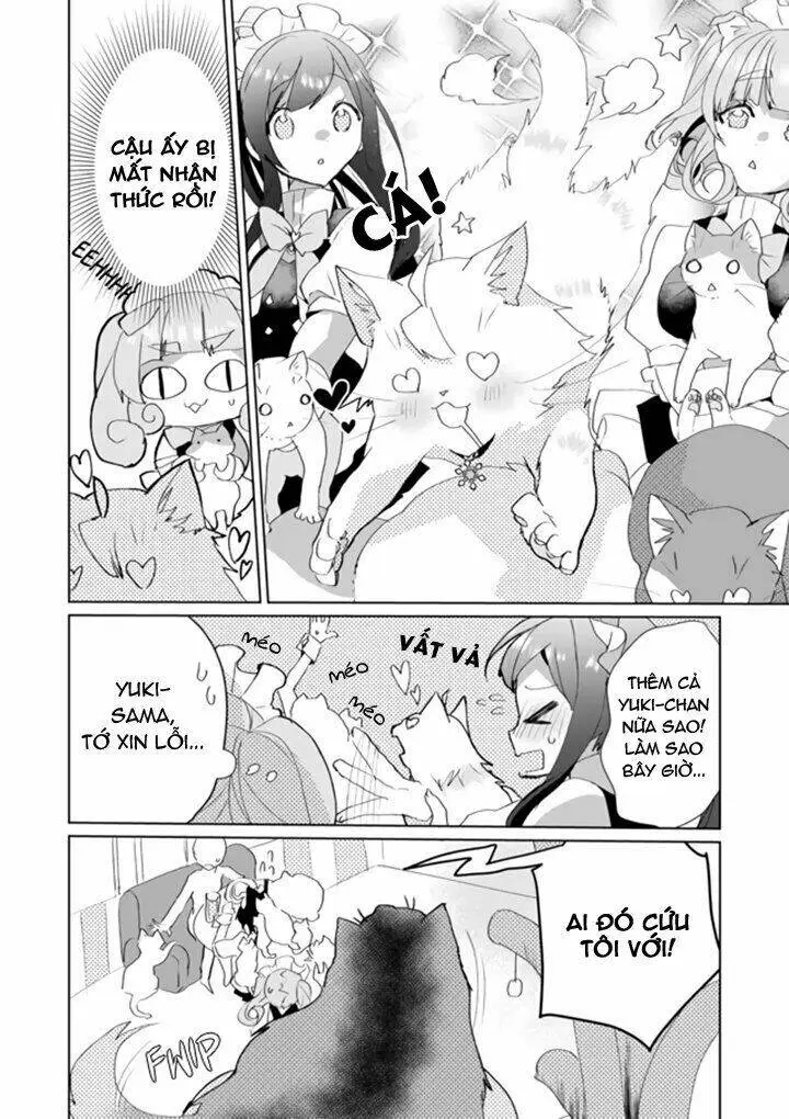 Chapter 33