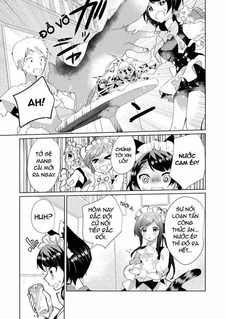 Chapter 33