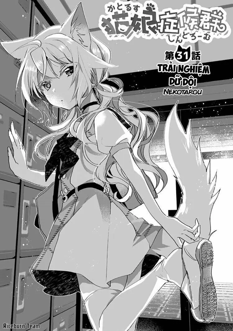 Chapter 31