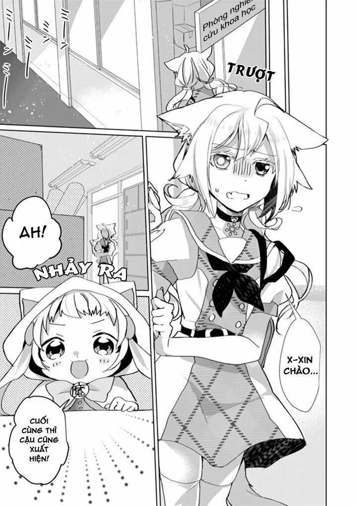 Chapter 31