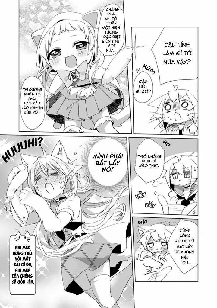 Chapter 31