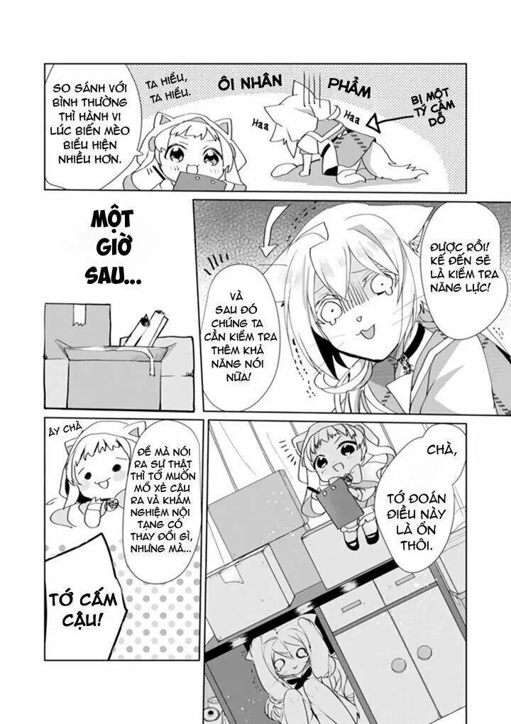 Chapter 31