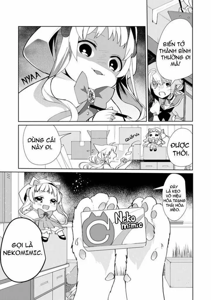 Chapter 31