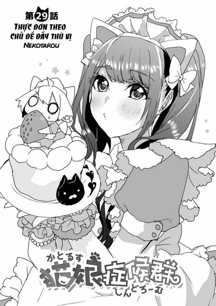 Chapter 29
