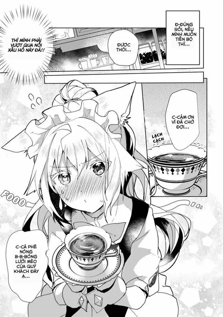 Chapter 29